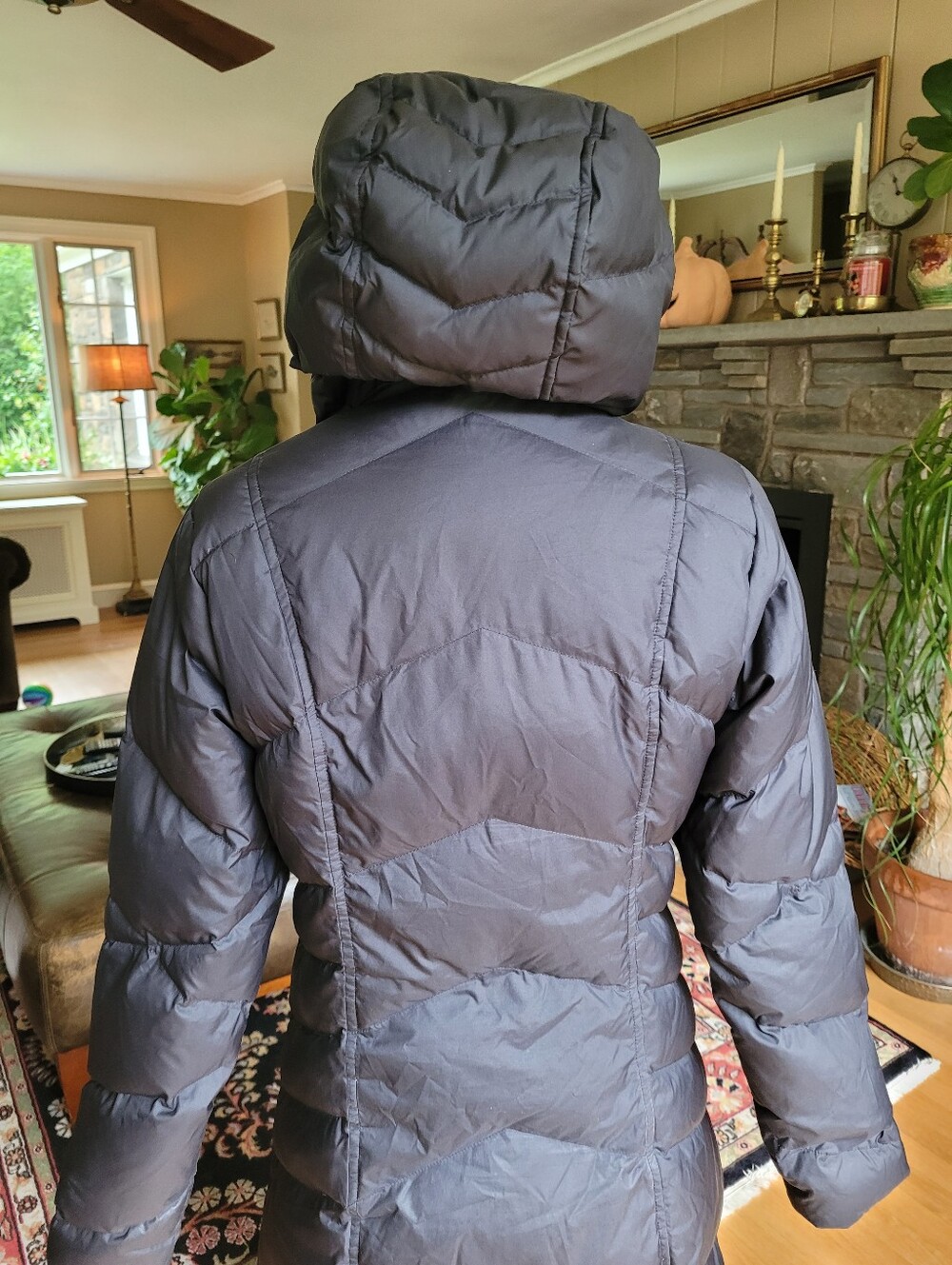 Patagonia Down With It Parka - Picture 8 of 16